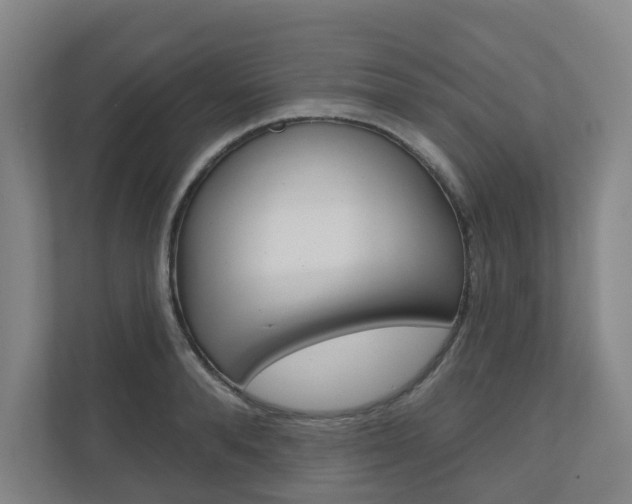 X0000110900896200906180944