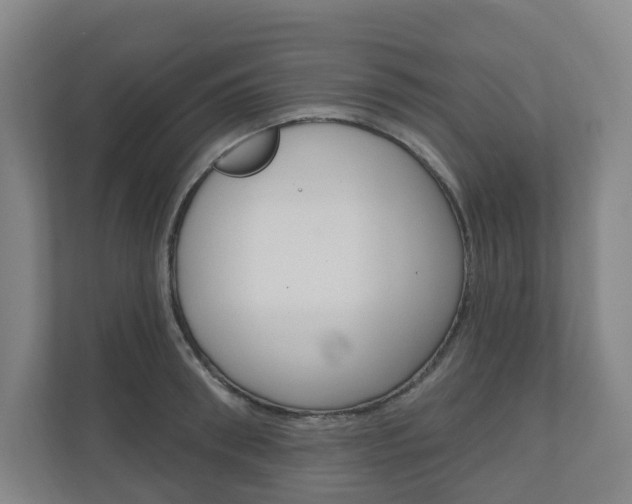 X0000110900898200906180944