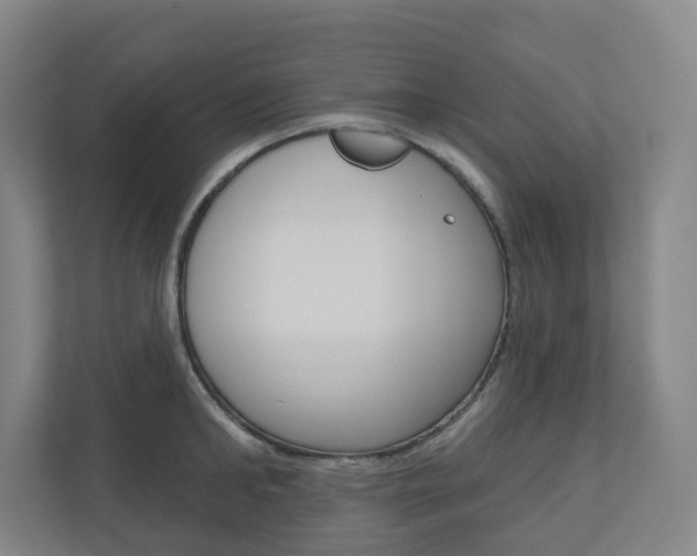 X0000110900902200906180943
