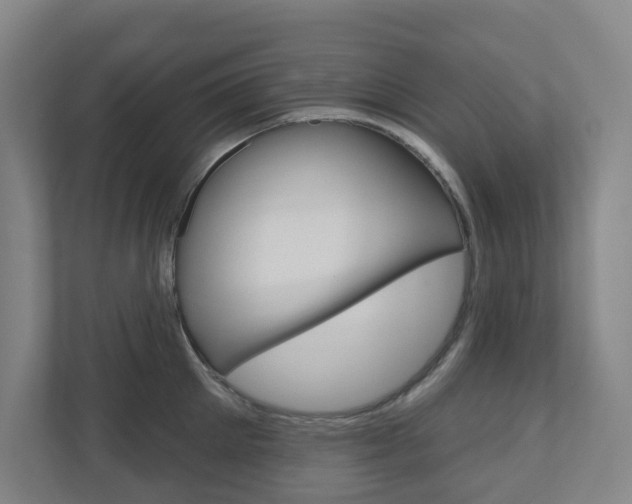 X0000110900905200906180943