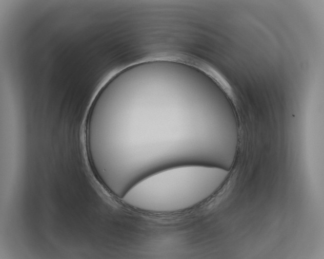 X0000110900907200906180943