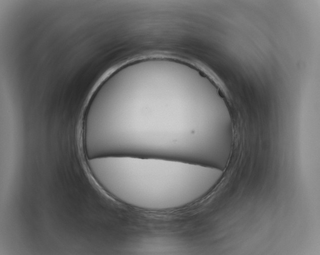 X0000110900911200906180943