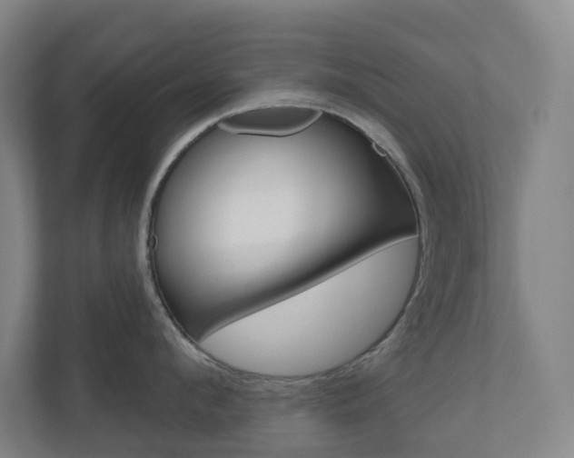 X0000110900912200906180943