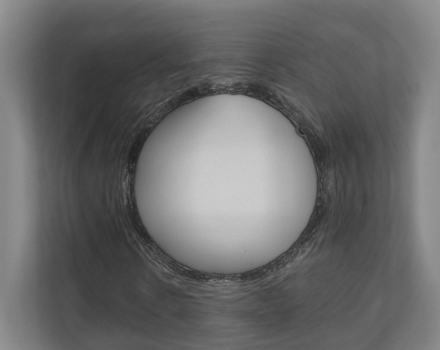 X0000110900914200906180943