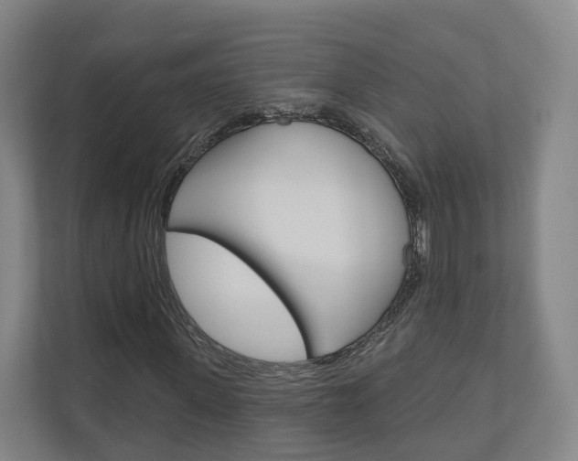 X0000110900915200906180943