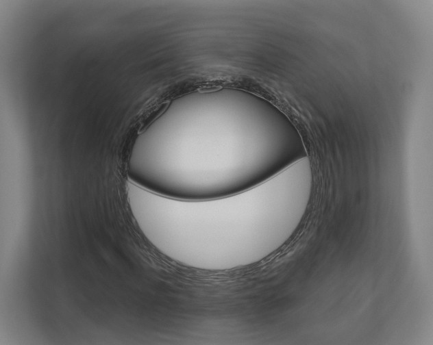 X0000110900916200906180943