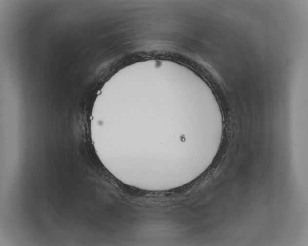 X0000110900918200906180943