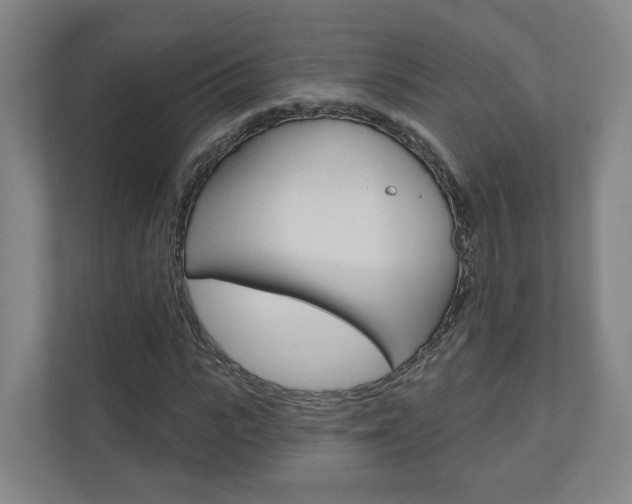 X0000110900919200906180943