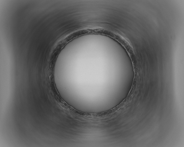 X0000110900920200906180943