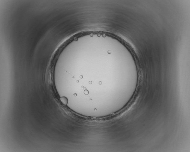 X0000110900925200906180943