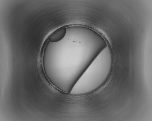 X0000110900928200906180943