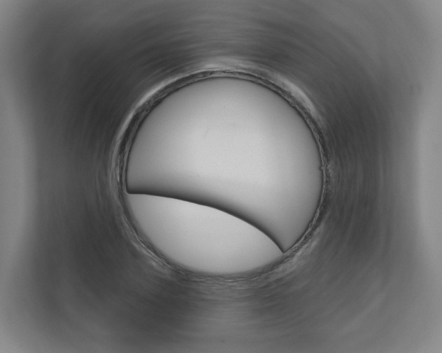 X0000110900931200906180943