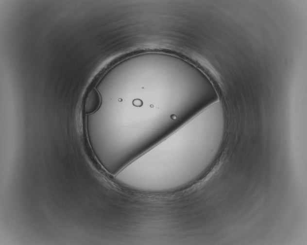 X0000110900934200906180943