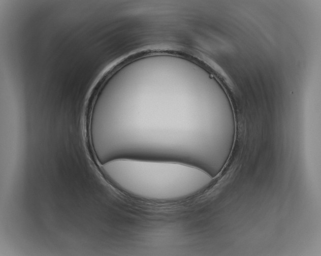 X0000110900935200906180943