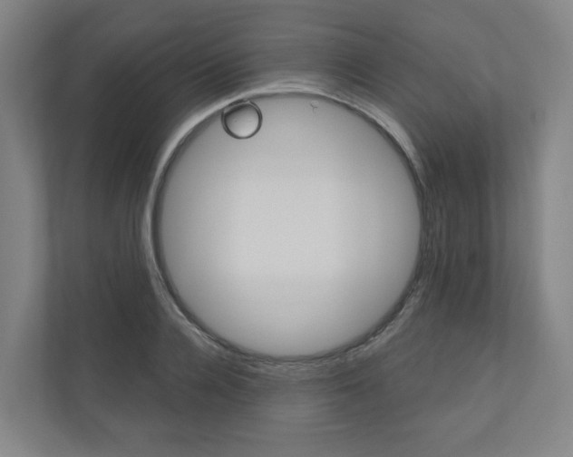 X0000110900936200906180943
