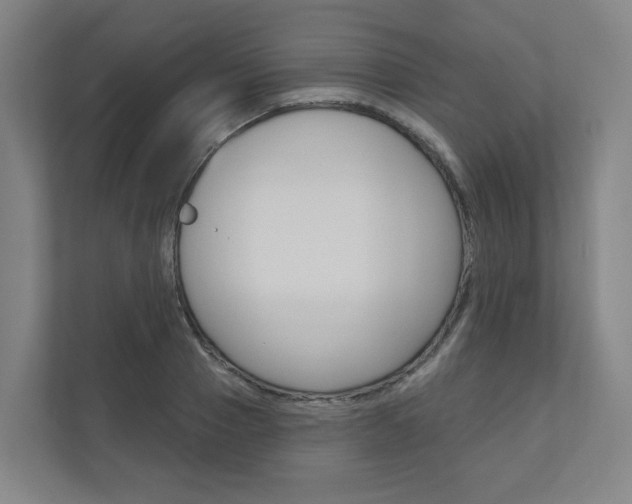 X0000110900937200906180943