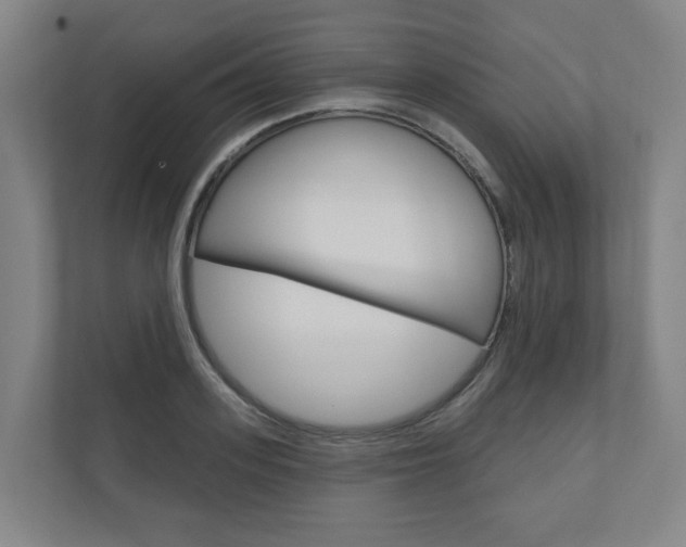 X0000110900939200906180943