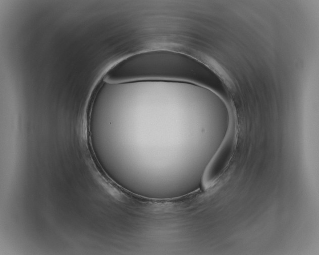 X0000110900940200906180943
