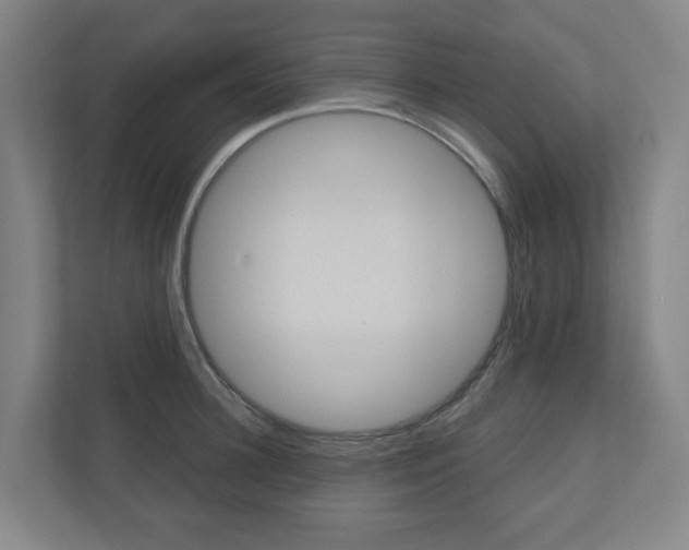 X0000110900948200906180943
