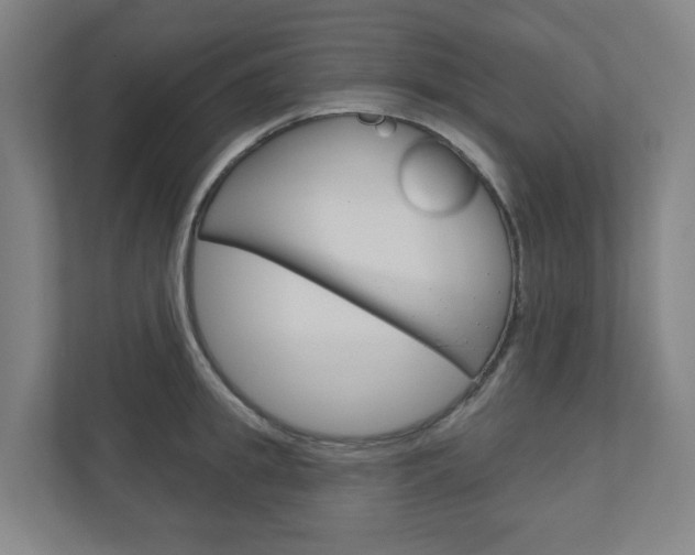 X0000110900949200906180943