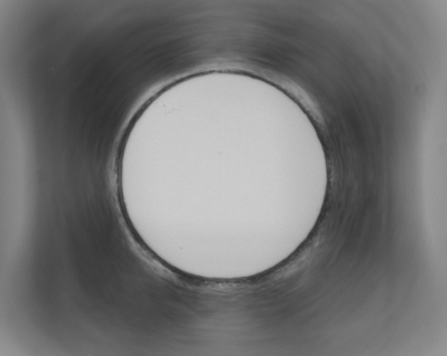 X0000110900950200906180943