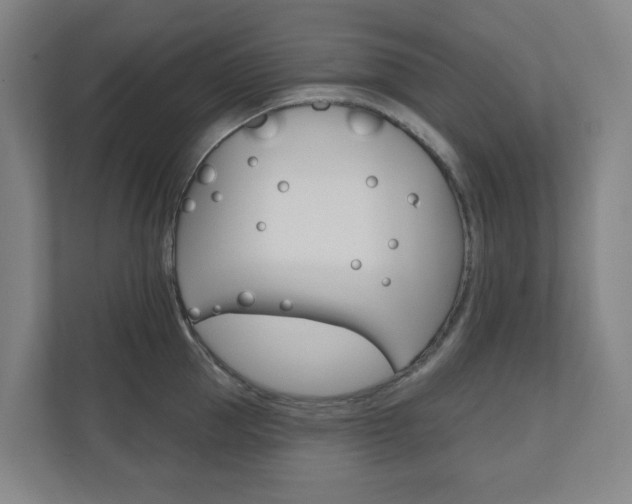 X0000110900953200906180943