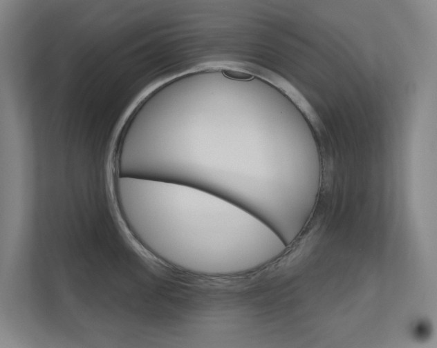 X0000110900955200906180943