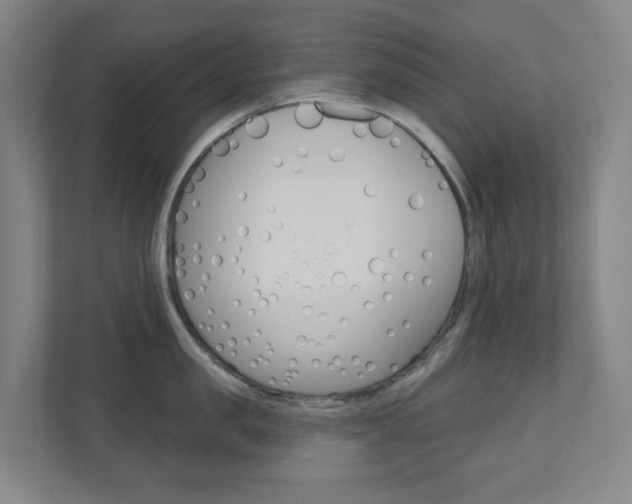 X0000110900957200906180943