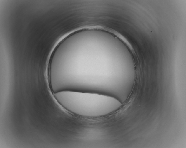 X0000110900959200906180943