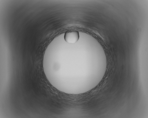 X0000110900965200906180943