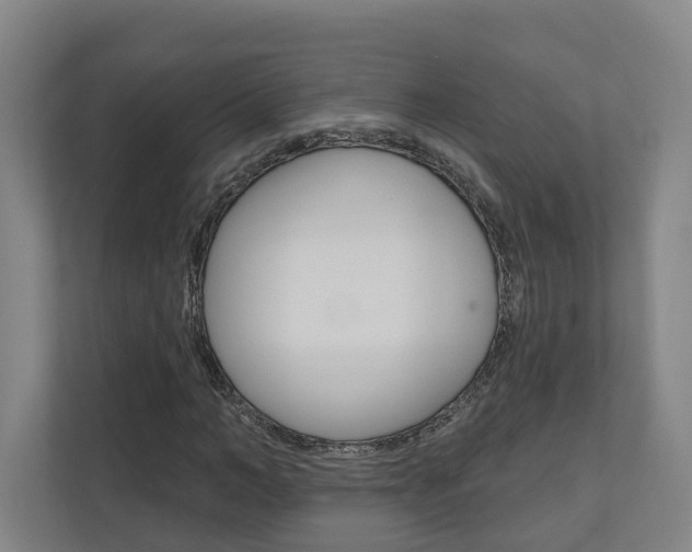 X0000110900966200906180943