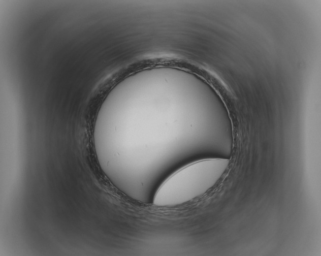 X0000110900967200906180943