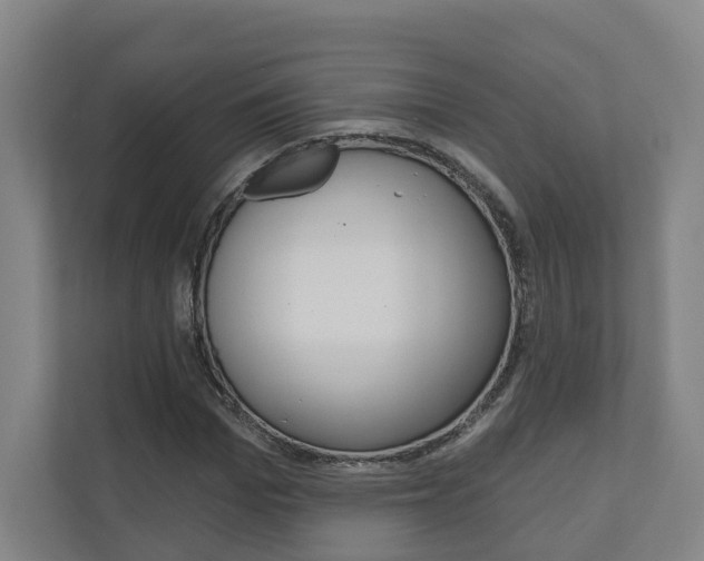 X0000110900969200906180943