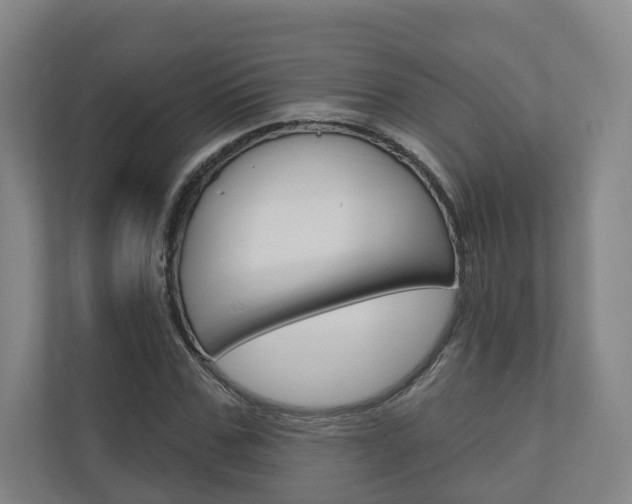 X0000110900971200906180943
