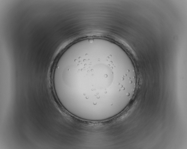 X0000110900978200906180943