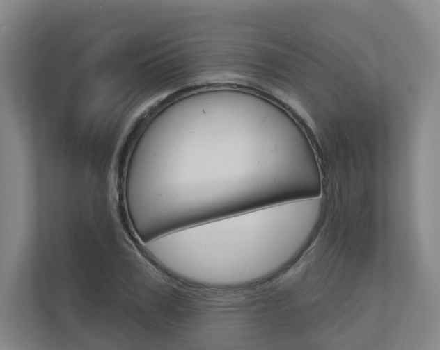 X0000110900979200906180942