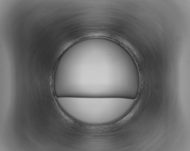 X0000110900985200906180942