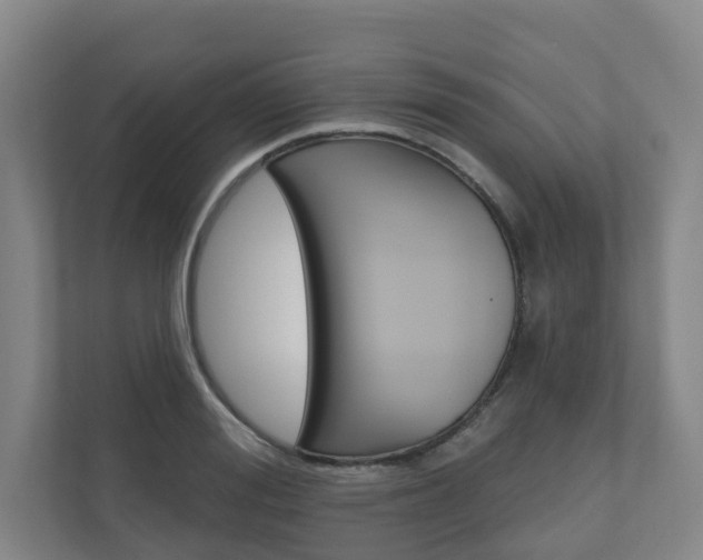 X0000110900988200906180942