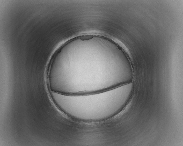 X0000110900989200906180942
