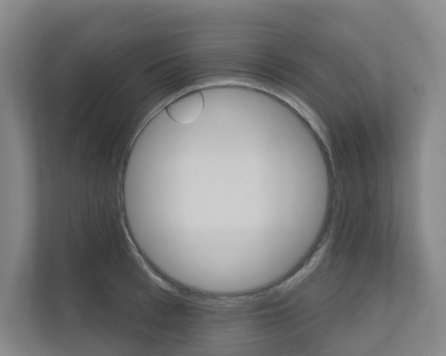 X0000110900993200906180942