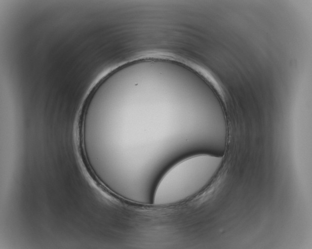 X0000110900999200906180942
