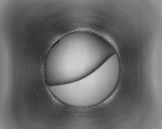 X0000110901001200906180942