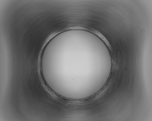 X0000110901002200906180942