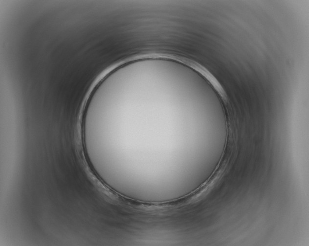 X0000110901004200906180942