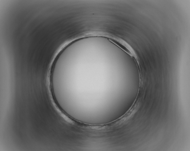 X0000110901005200906180942