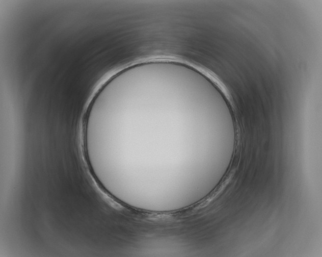X0000110901006200906180942