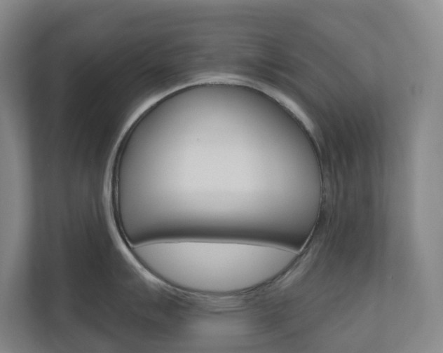 X0000110901007200906180942