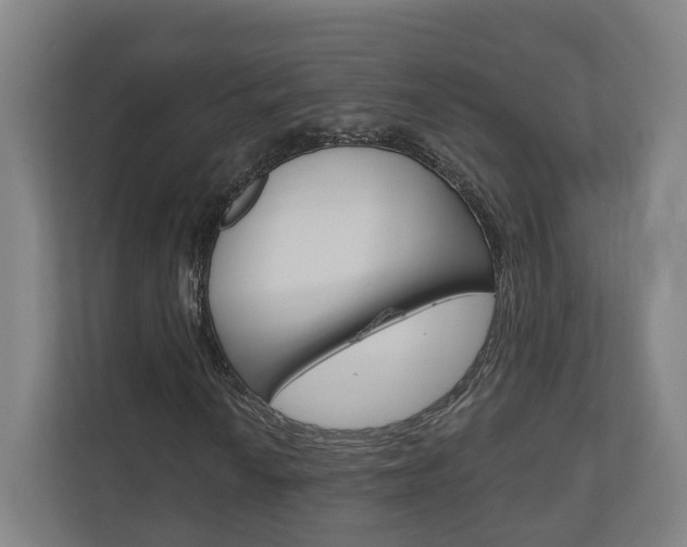 X0000110901010200906180942