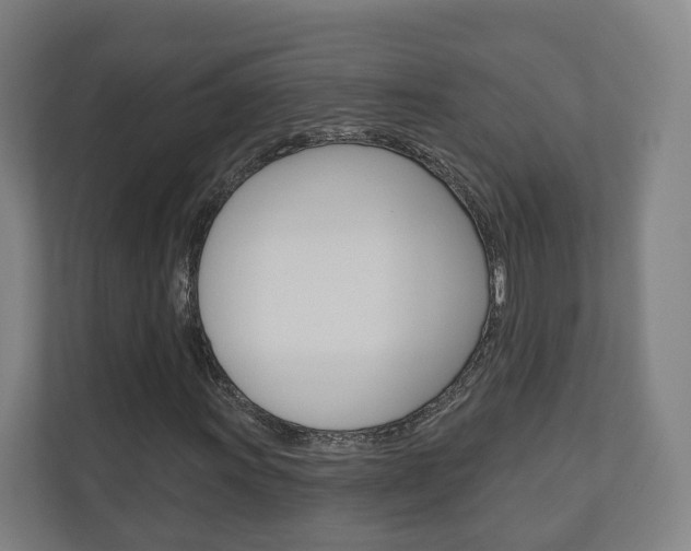 X0000110901011200906180942