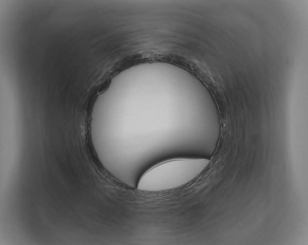 X0000110901012200906180942